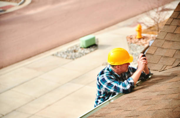 Best Roof Gutter Cleaning  in Homer, AK