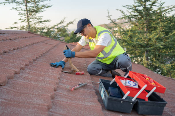 Best Roof Replacement Cost  in Homer, AK