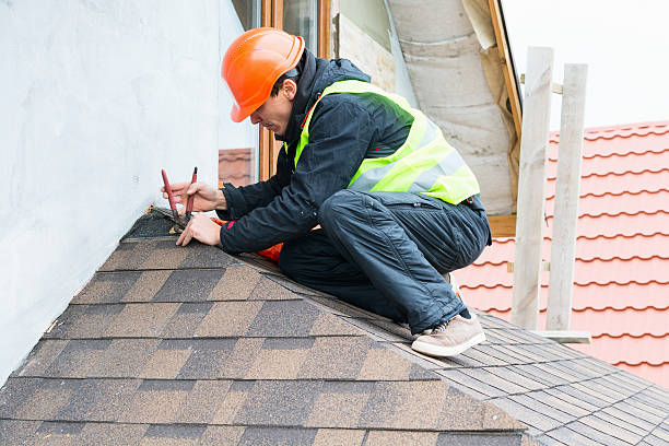 Best Emergency Roof Repair  in Homer, AK